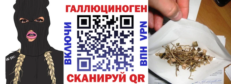 Галлюциногенные грибы Cubensis Фёдоровский